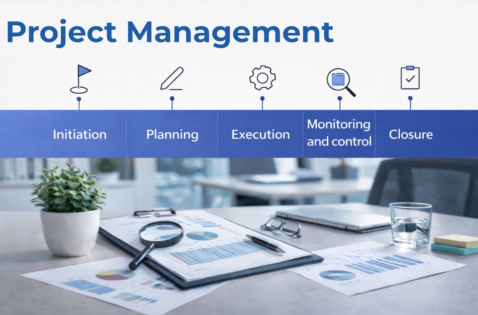 Professional project management services